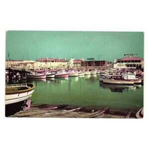 Fishermans Wharf San Francisco Vintage Postcard D130 National Color Press Boats